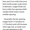 Bird Care 101 By Ailathyna Example Page Bar Spacing