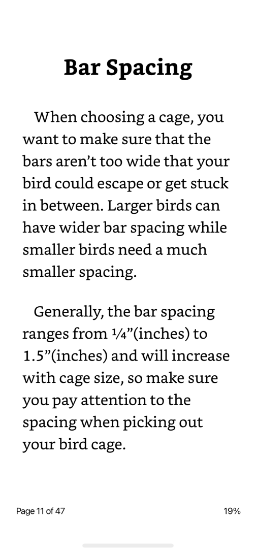 Bird Care 101 By Ailathyna Example Page Bar Spacing