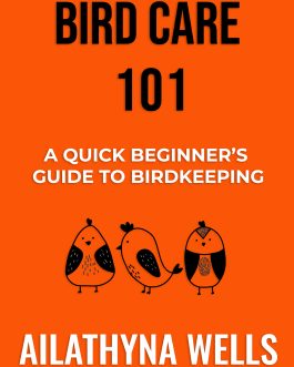 Bird Care 101 – A Quick Beginner’s Guide to Birdkeeping