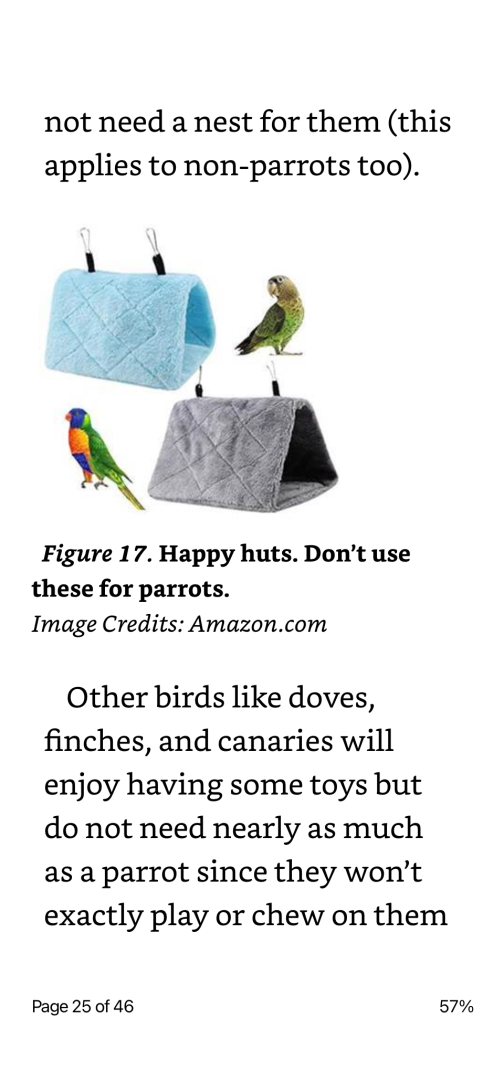 Bird Care 101 By Ailathyna Example Page Toys